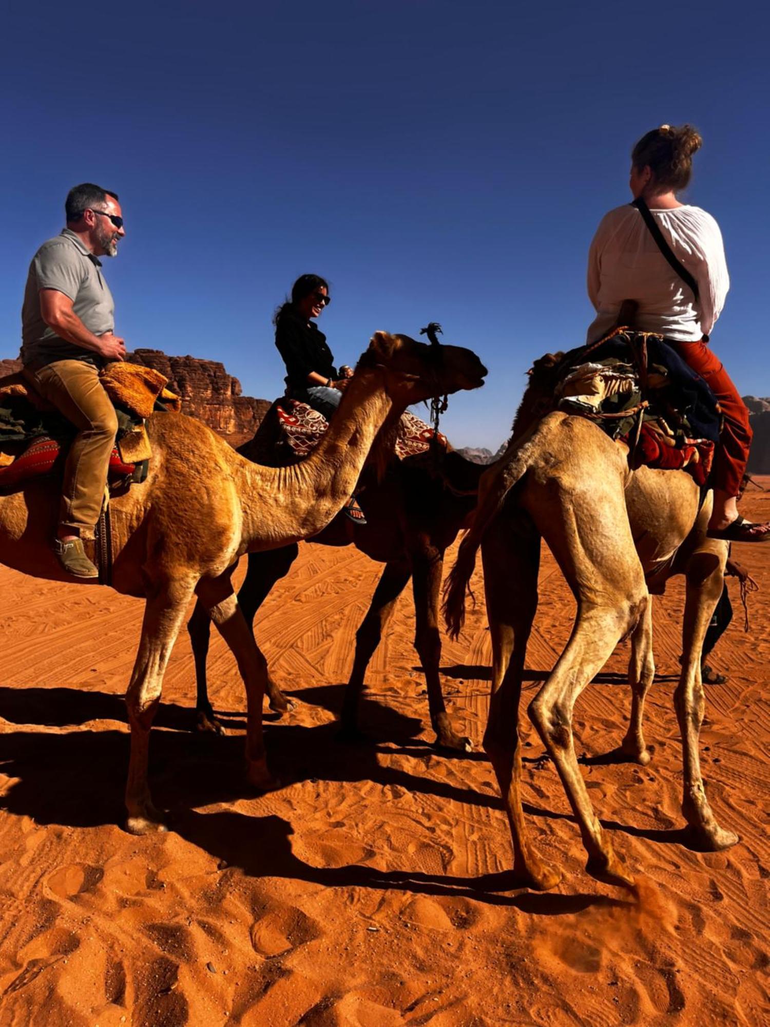 Desert Stars Rum Camp Wadi Rum Extérieur photo